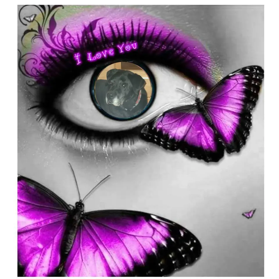 Condolence image of ❤️❤️❤️