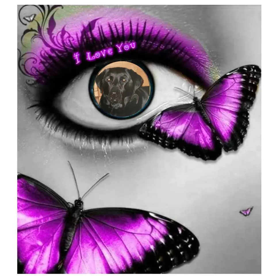 Condolence image of ❤️❤️❤️