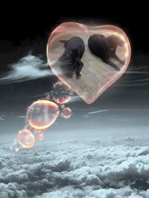 Condolence image of ❤️❤️❤️