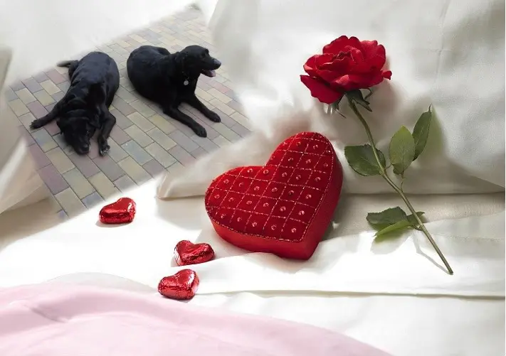 Condolence image of ❤️❤️❤️