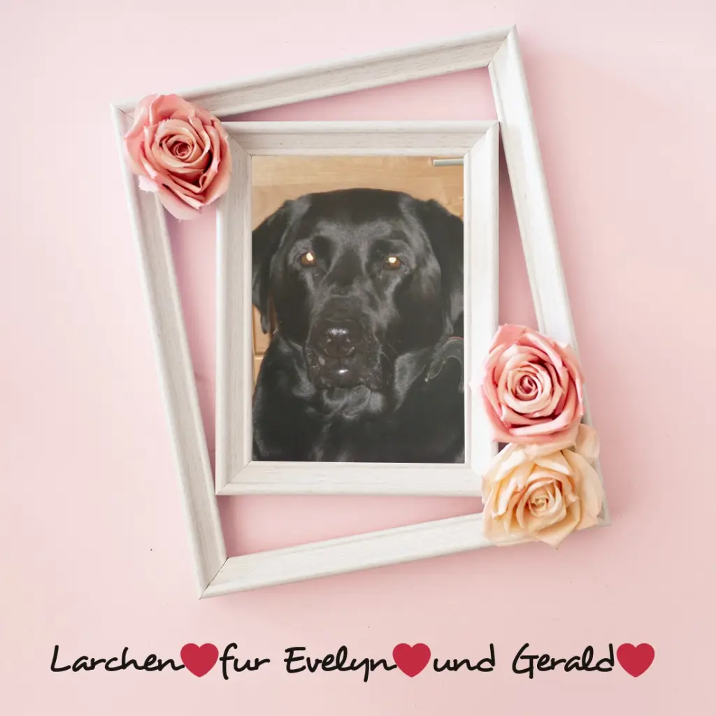 Condolence image of ❤️❤️❤️