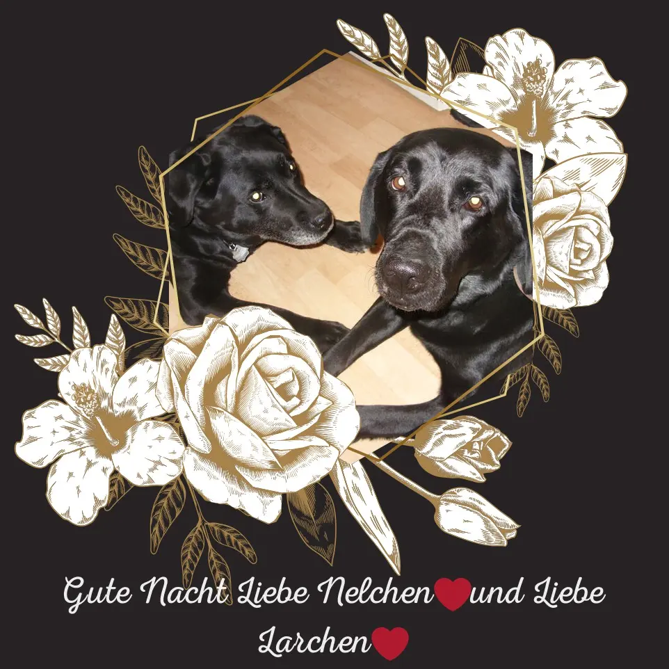 Condolence image of ❤️❤️❤️