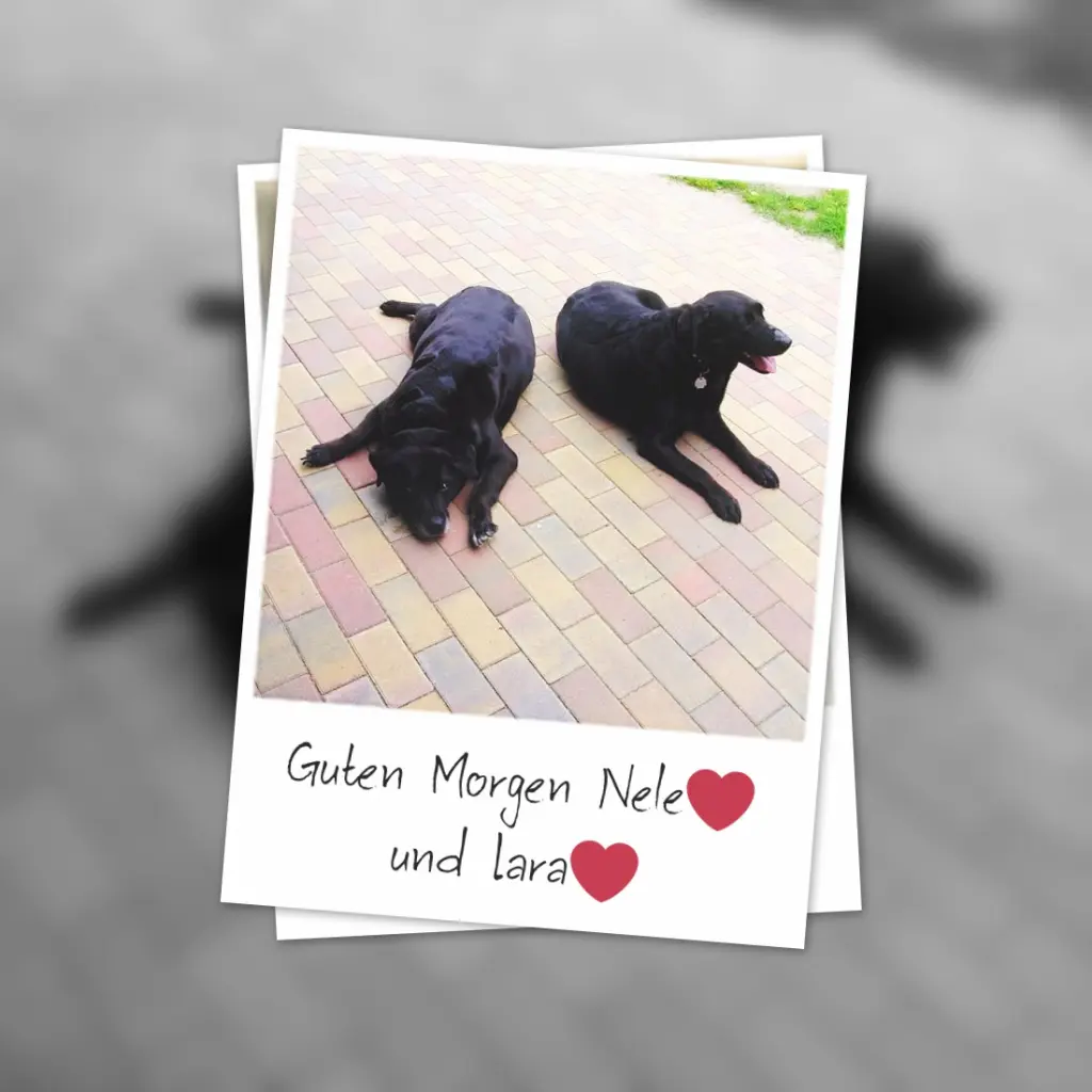 Condolence image of Guten Morgen❤️❤️❤️