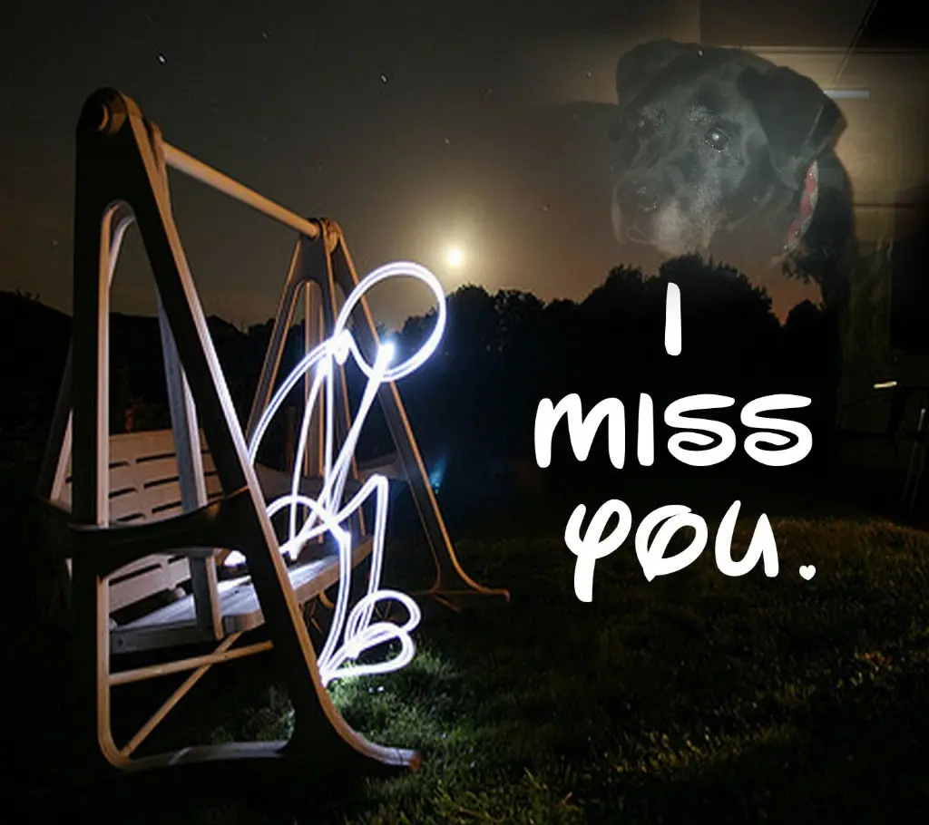 Condolence image of ❤️❤️❤️