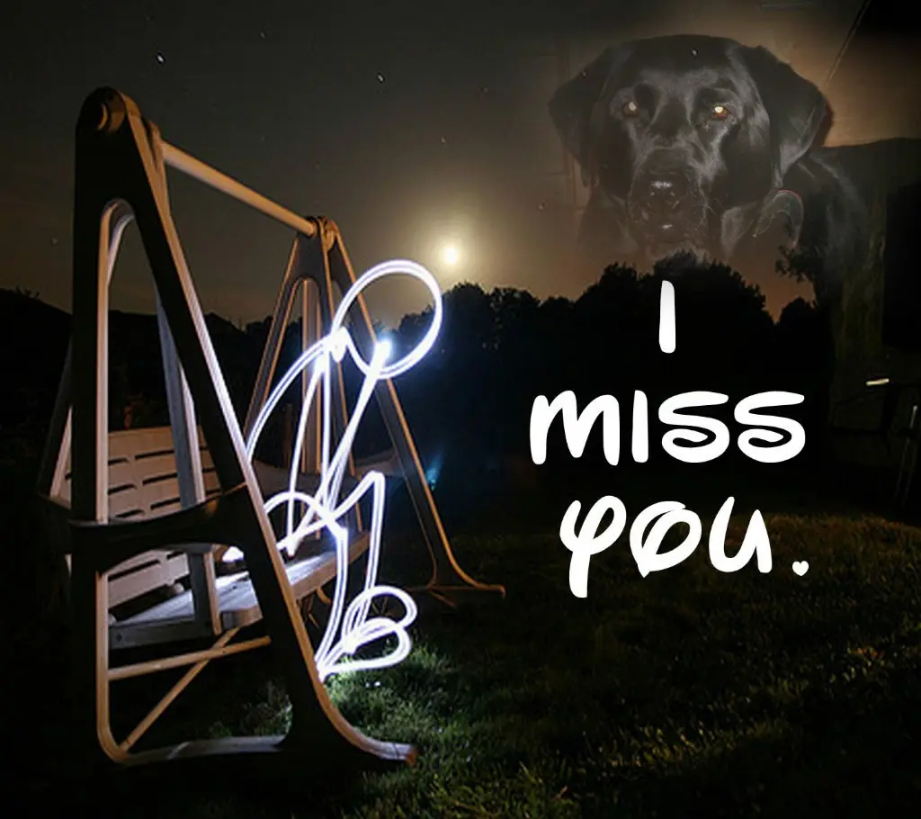 Condolence image of ❤️❤️❤️