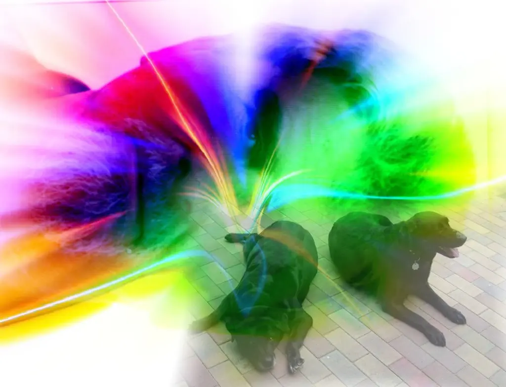 Condolence image of ❤️❤️❤️