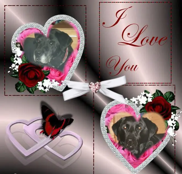 Condolence image of ❤️❤️❤️