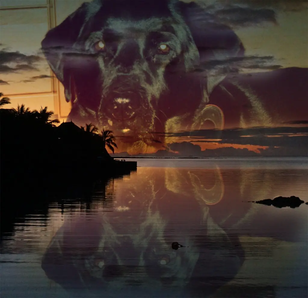 Condolence image of ❤️❤️❤️