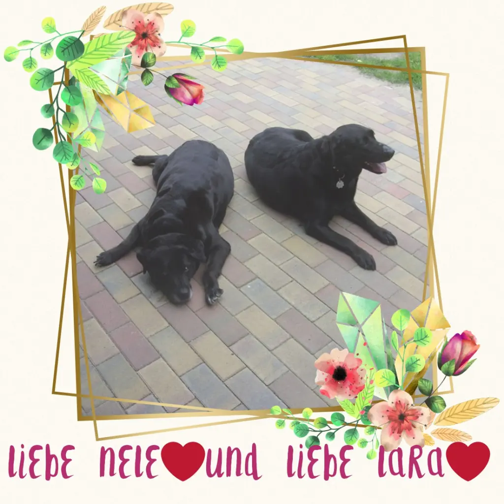 Condolence image of ❤️❤️❤️