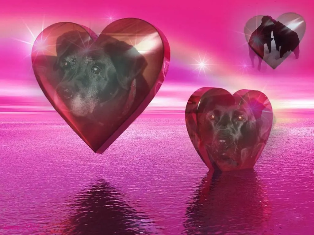 Condolence image of ❤️❤️❤️