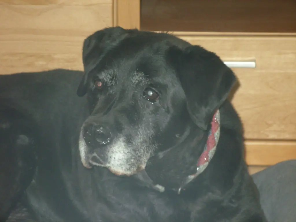 Condolence image of Unbekannt