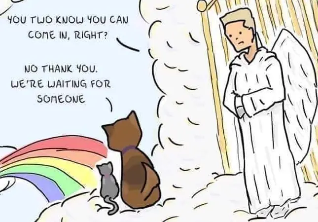 Condolence image of Wochenendrosen