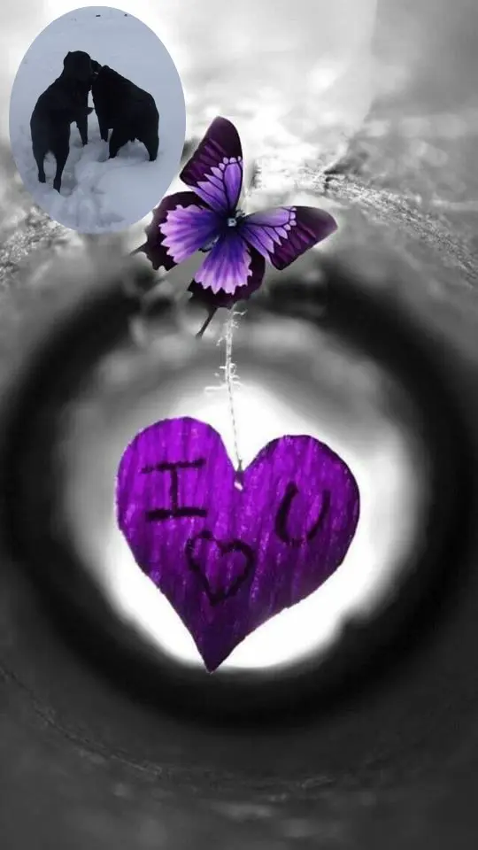 Condolence image of ❤️❤️❤️