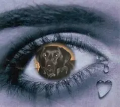 Condolence image of Liebe Larchen❤️