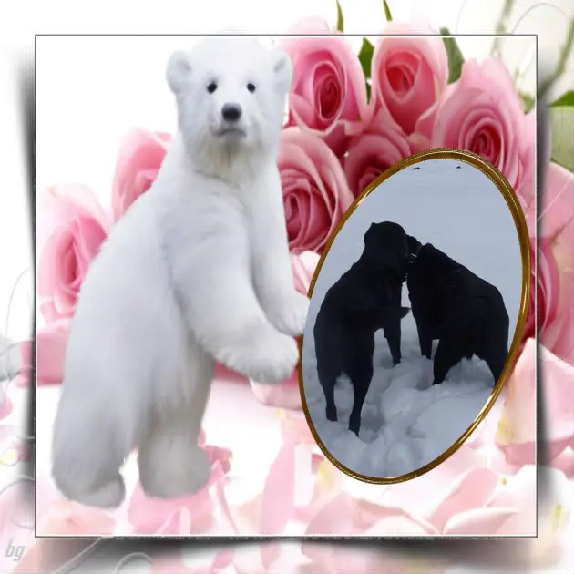 Condolence image of ❤️❤️❤️