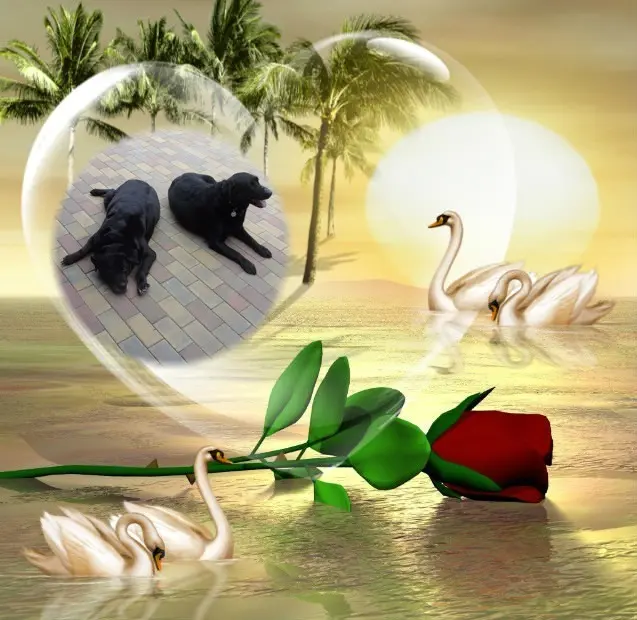 Condolence image of ❤️❤️❤️