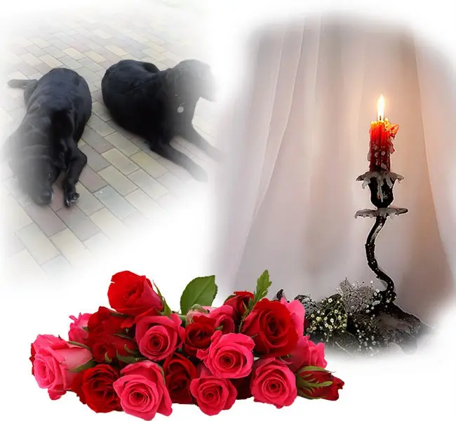 Condolence image of ❤️❤️❤️