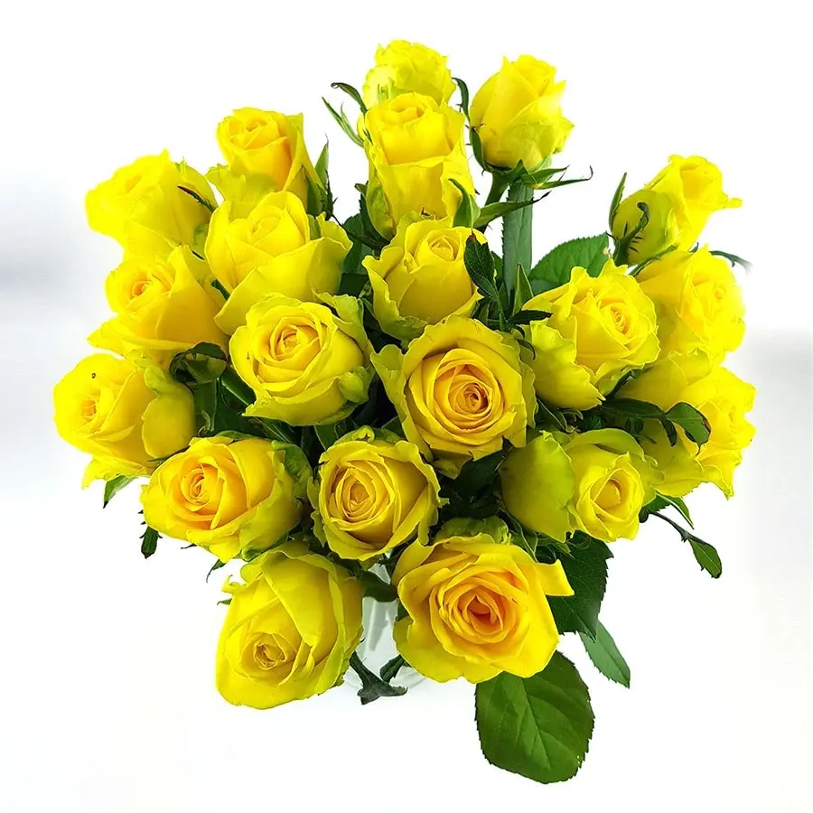 Condolence image of Brigitta