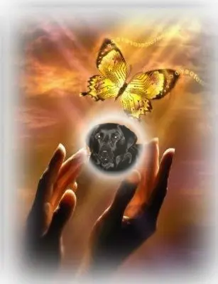 Condolence image of ❤️❤️❤️