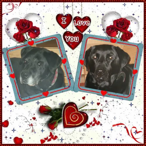 Condolence image of ❤️❤️❤️