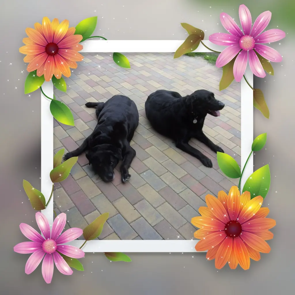 Condolence image of ❤️❤️❤️