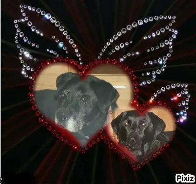 Condolence image of ❤️❤️❤️