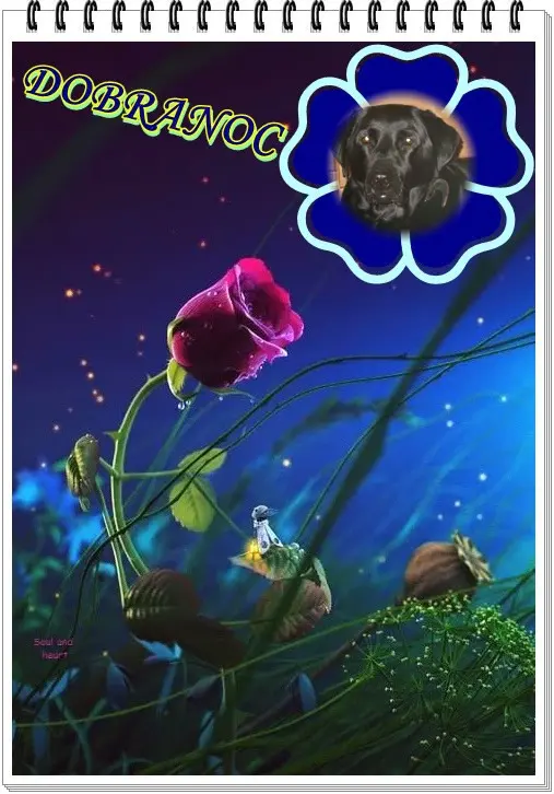 Condolence image of ❤️❤️❤️