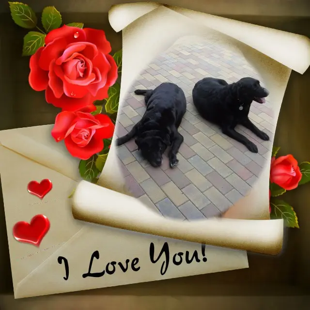 Condolence image of ❤️❤️❤️