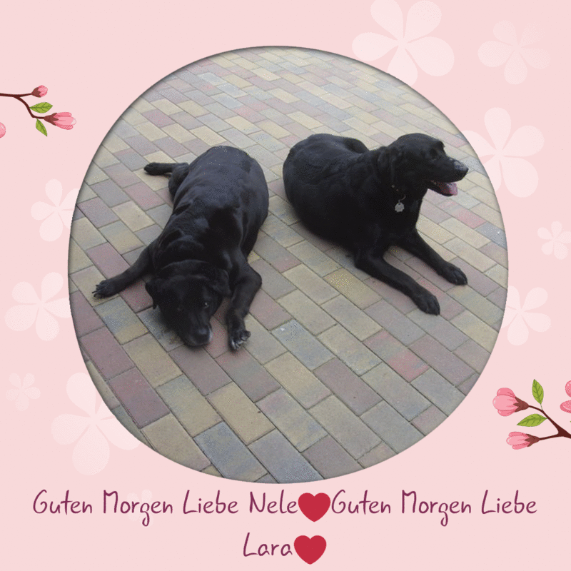 Condolence image of ❤️❤️❤️