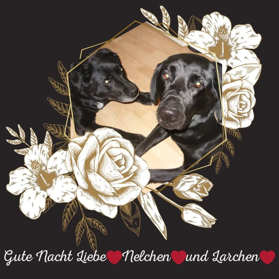 Condolence image of ❤️❤️❤️