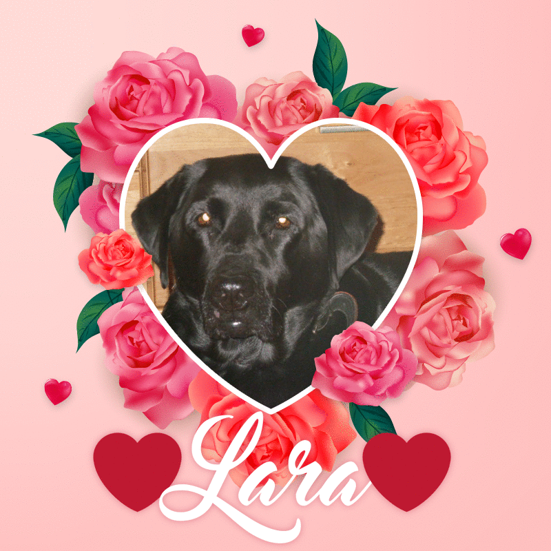 Condolence image of ❤️❤️❤️