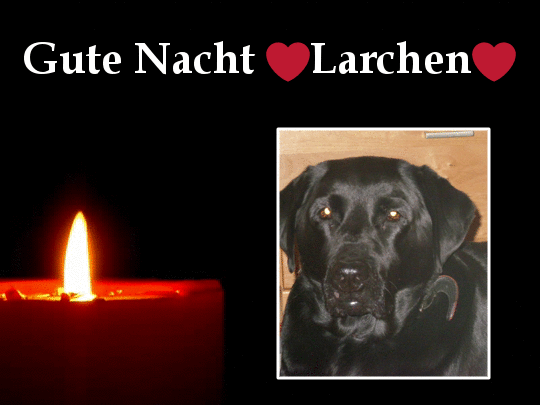 Condolence image of ❤️❤️❤️