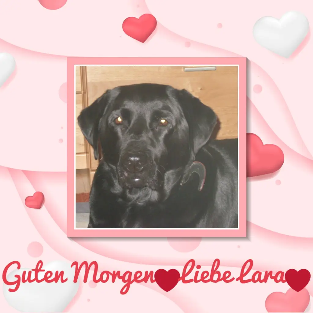 Condolence image of ❤️❤️❤️