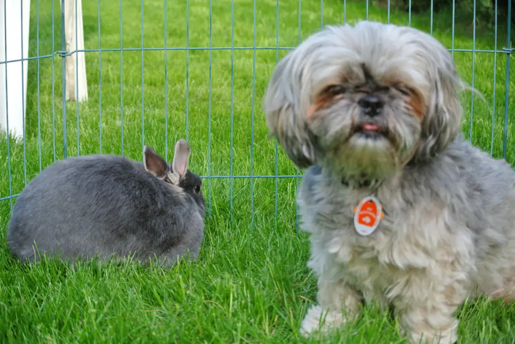 Condolence image of Kathrin mit Susi im Herzen