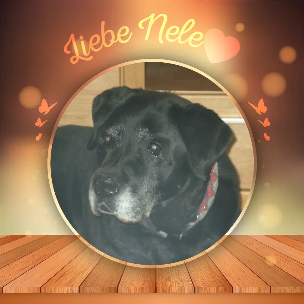 Condolence image of ❤️❤️❤️