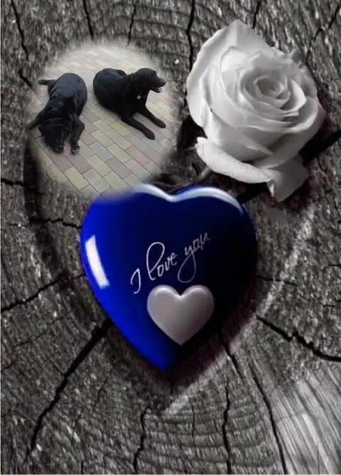 Condolence image of ❤️❤️❤️