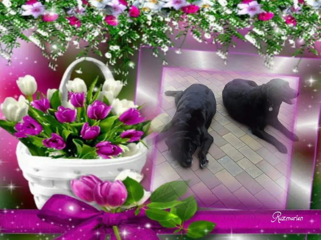 Condolence image of ❤️❤️❤️