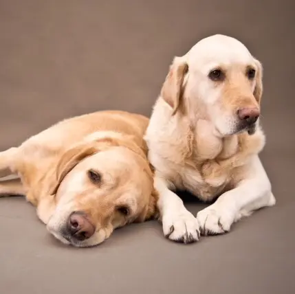 Condolence image of Brigitta