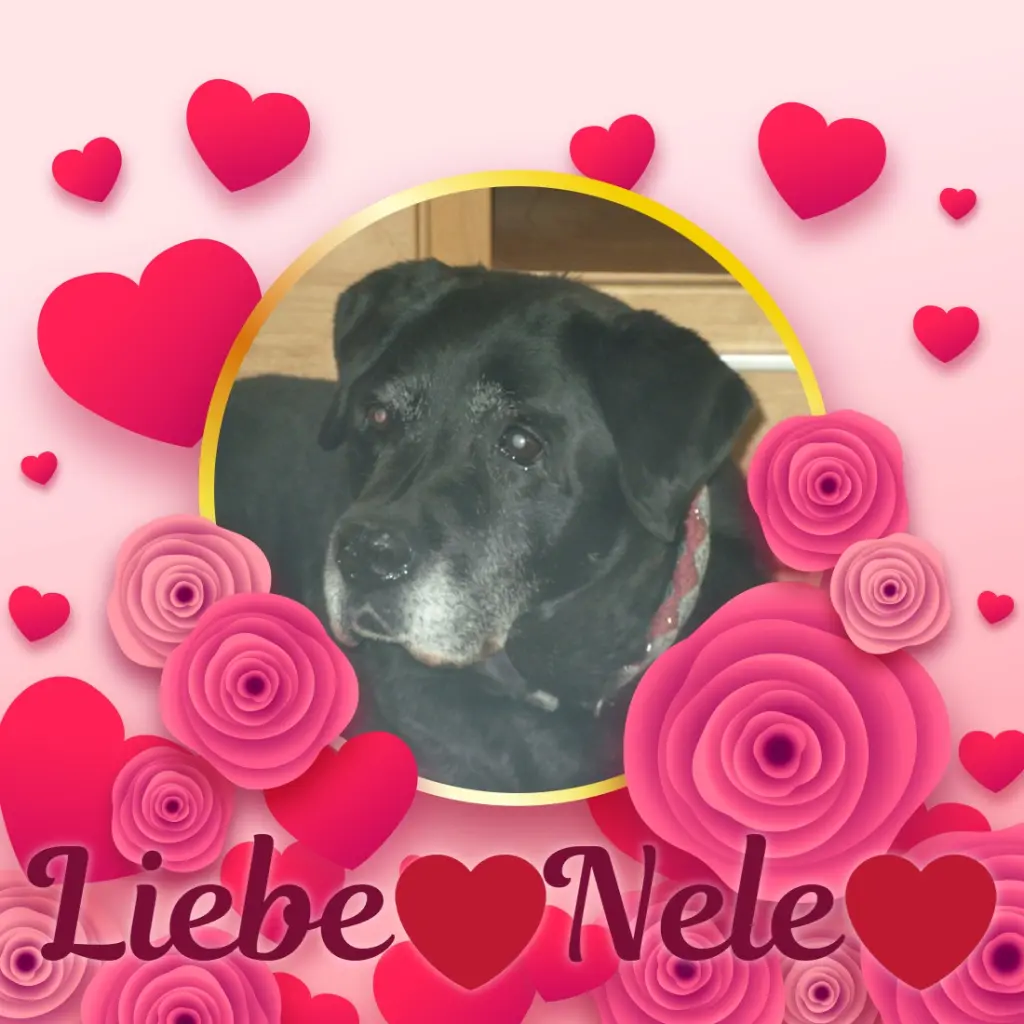 Condolence image of ❤️❤️❤️