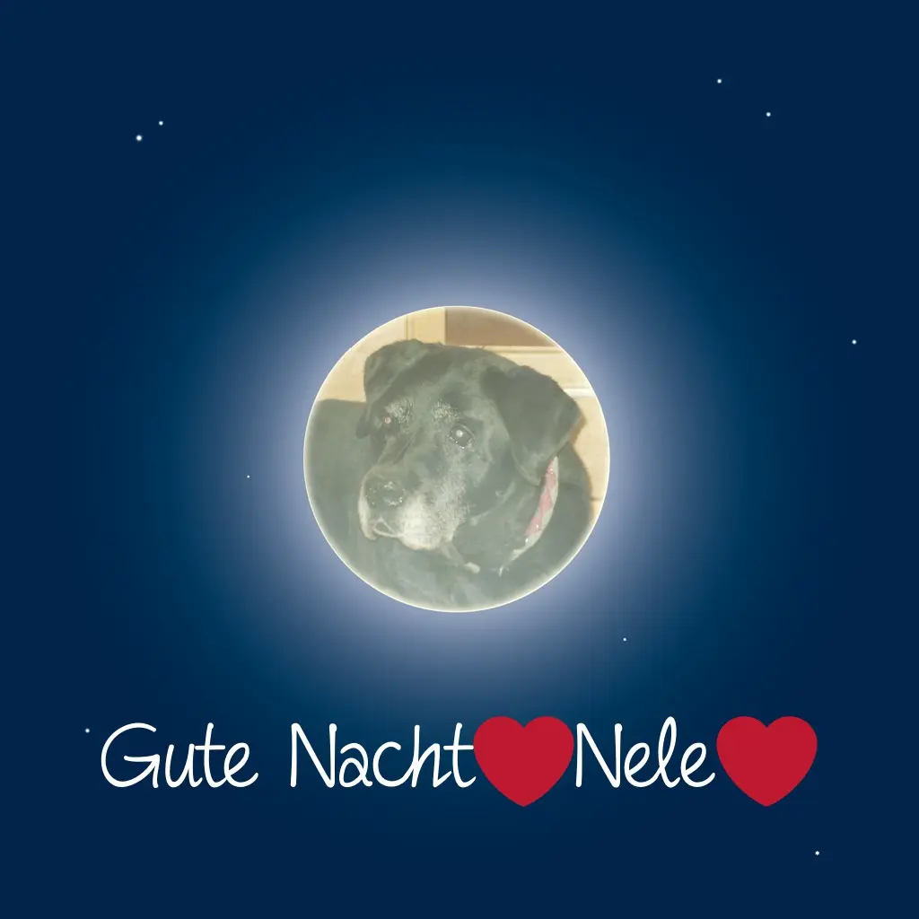 Condolence image of ❤️❤️❤️