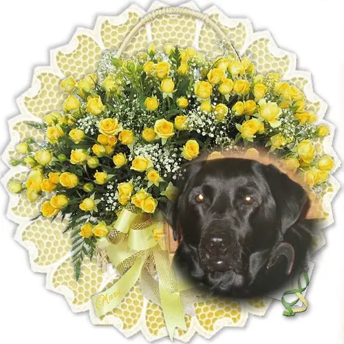 Condolence image of ❤️❤️❤️