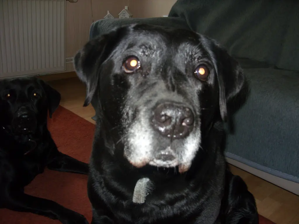 Condolence image of Unbekannt