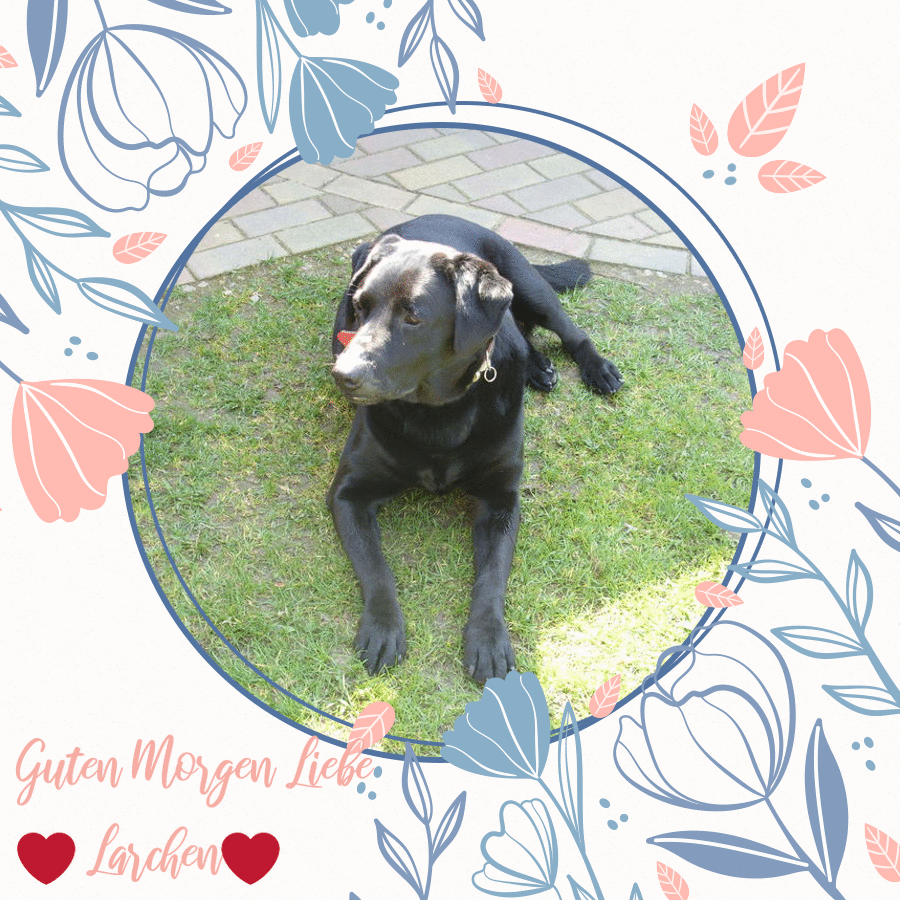 Condolence image of ❤️Lara❤️