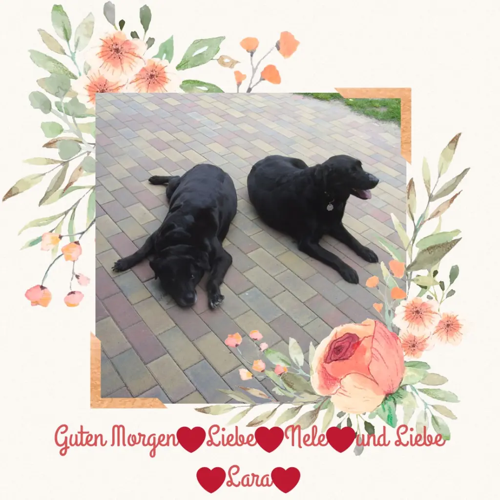 Condolence image of ❤️❤️❤️