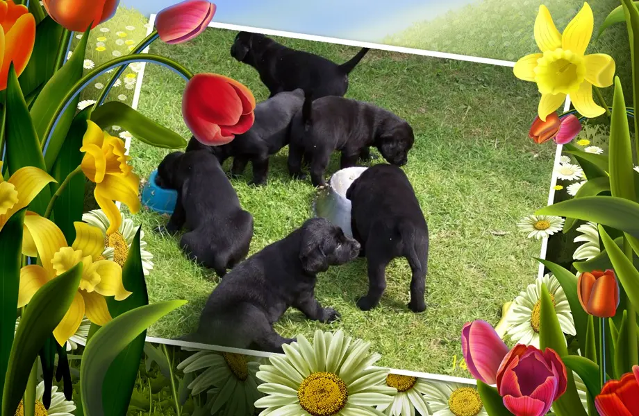 Condolence image of ❤️❤️❤️