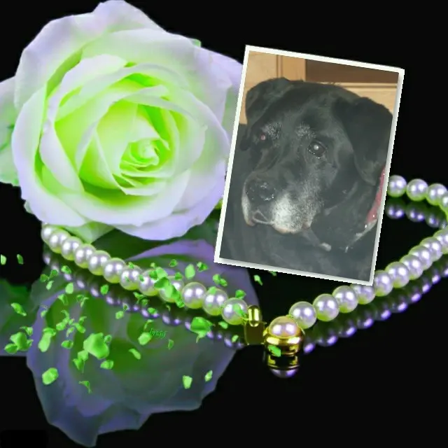 Condolence image of ❤️❤️❤️