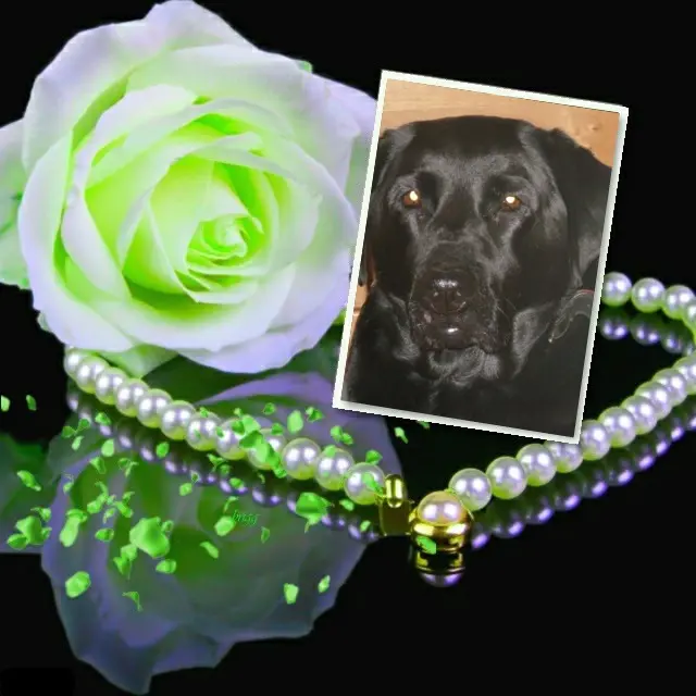 Condolence image of ❤️❤️❤️