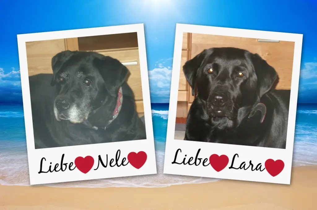 Condolence image of ❤️❤️❤️