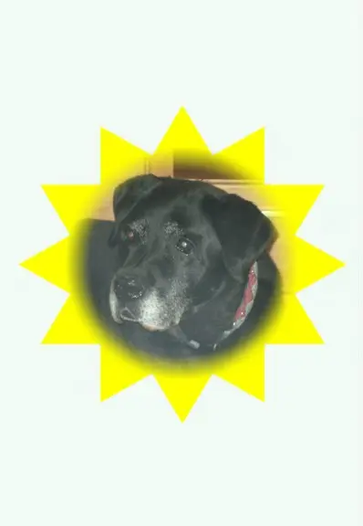 Condolence image of ❤️❤️❤️