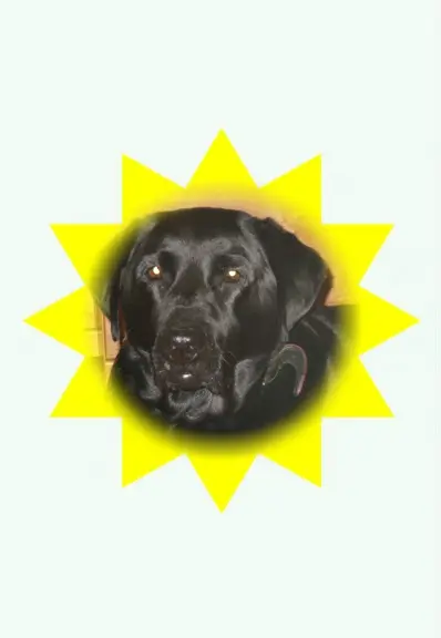 Condolence image of ❤️❤️❤️